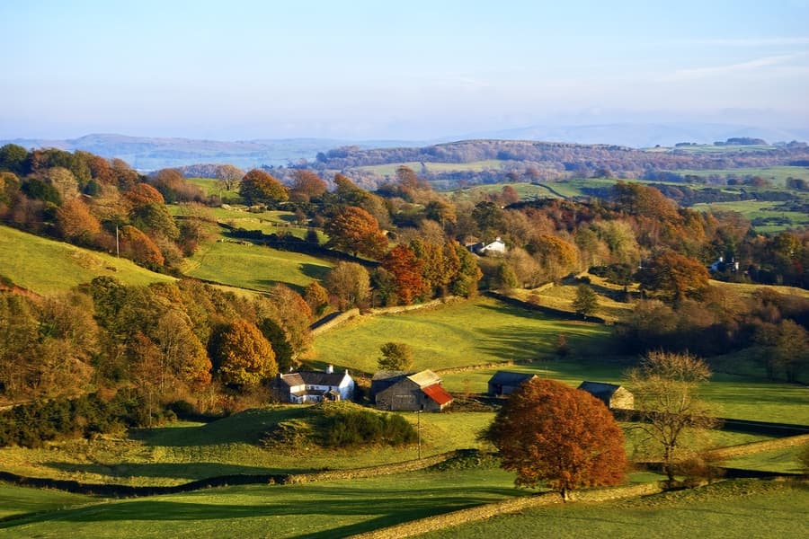 Farm finance – outlook for 2025