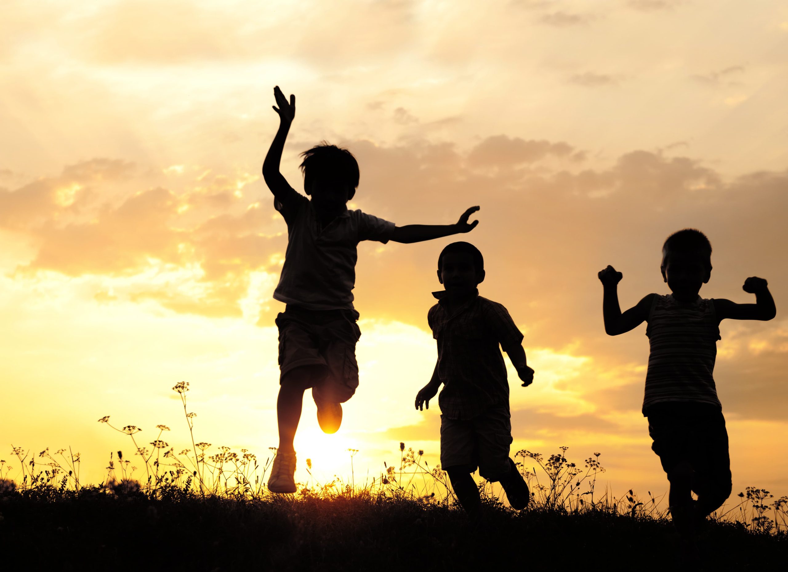 Farm inheritance tax: planning and financing your succession